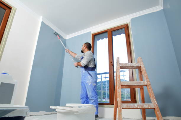 Best Mold Damage Restoration  in Lake Stickney, WA
