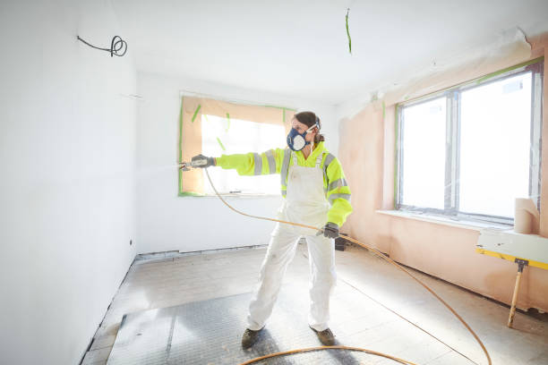Best Mold Damage Restoration  in Lake Stickney, WA