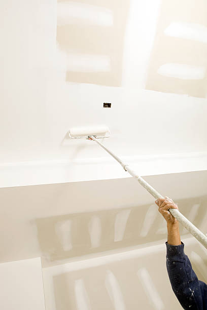Lake Stickney, WA Mold Removal Company